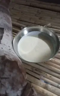 دوغ ترخینه  ترش داخل مشک