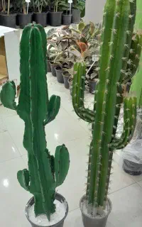 جذب نیروی خانم و آقا