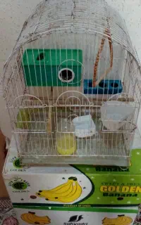 قفس خوب وعالی