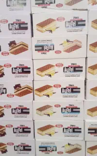 استخدام ویزیتور  حضوری اقا و خانم