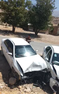 سمند تصادفی