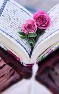 سرکتاب . پیشگویی . دعا . فال . کاملا تضمینی