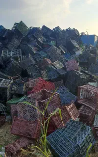 مواد اسیابی سبد