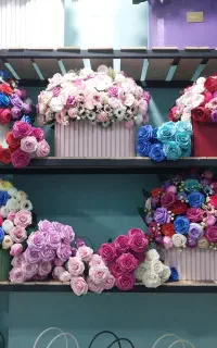 انواع گل مناسب