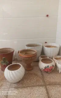 گلدان
