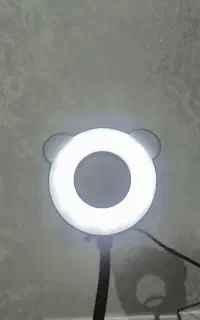 رینگ لایت