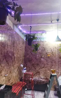 خیابان مدیریت مغازه