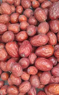 عناب تازه