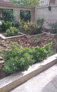 باغبانی و سمپاشی تیلر هرس گلکاری کود در تمام نقاط