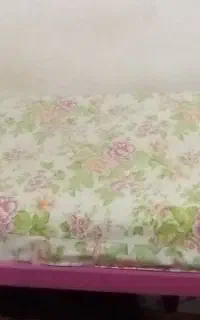 جمشیدی