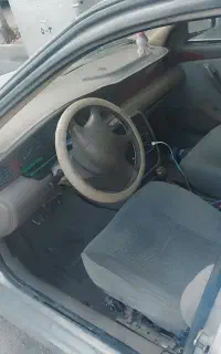 سمند معمولی