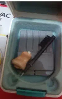 سمعک داخل گوشی اصلی