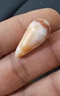 مهره  سنگ قدیمی
