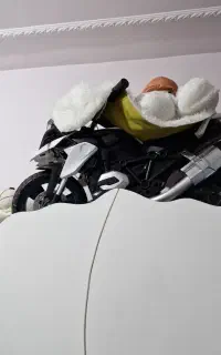 موتور برقی بچه گانه