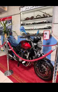 cb1300سندسوشیان باپروانه گمرکی