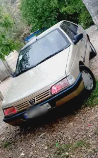پژو 405