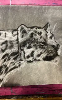 آمورشگاه نقاشی