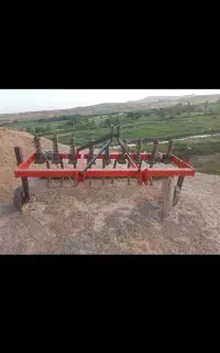 پنجه قازی در حد نو