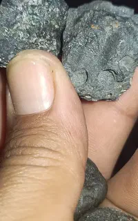 شهاب سنگ اصل با زرات سبز.