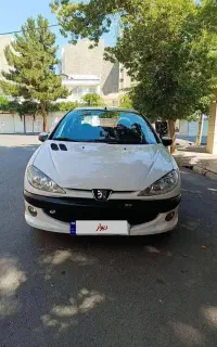 206(sdv20)