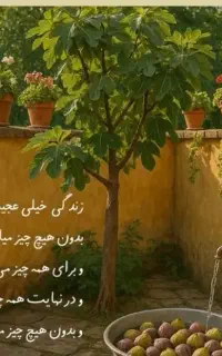 کاروان مشهد