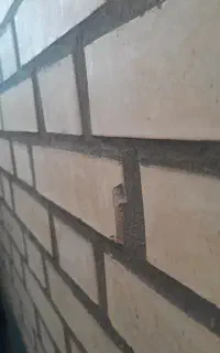 دونفر خانم برای نظافت