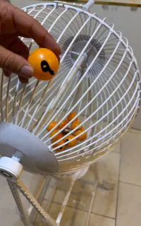 چرخونه شانس