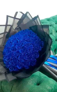 گل روبانی