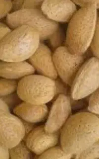 بادام سنگی امسالی