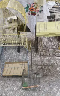 قفس پرنده