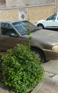 سیلو بدون رنگ