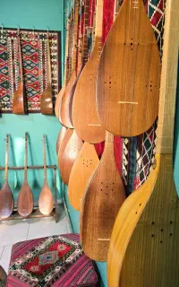 فروشگاه تخصصی خانه تنبور مهر