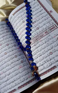 مداحی بانو بابیش از ۱۵سال،سابقه مداحی