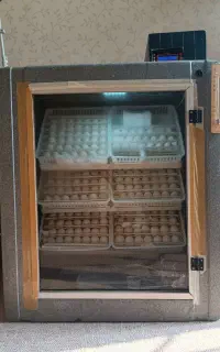 دستگاه جوجه کشی