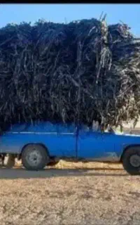 جمع آوری و خرید تیپ قطره‌ای از سر زمین