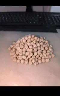 نخود بوجاری شده بذری