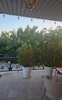 سرایدار