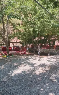 تور یکروزه فقط بانوان
