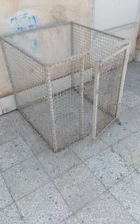 گنجه کفتر ولاری