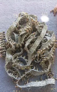 نوار کریستال در حد نو