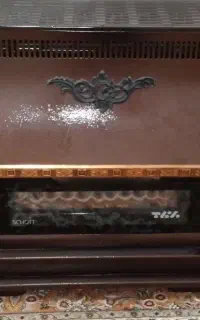 بخاری در حد نو