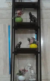 شلف سالم