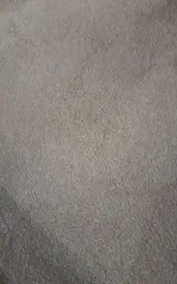 موکت