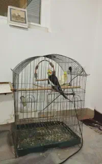 ۳میلیون