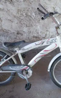 دوچرخه 20