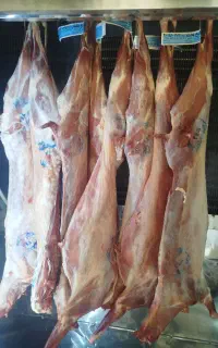 کهره