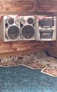 ضبط ۳ دیکس ال جی