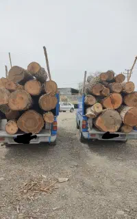 خریدچوب