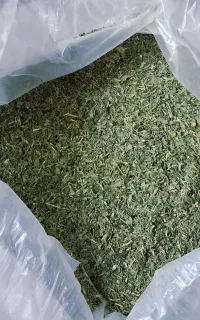 شنبلیله