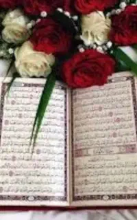 انجام انواع طالع بینی سرکتاب فال دعا